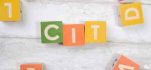 cit estoński na czym polega